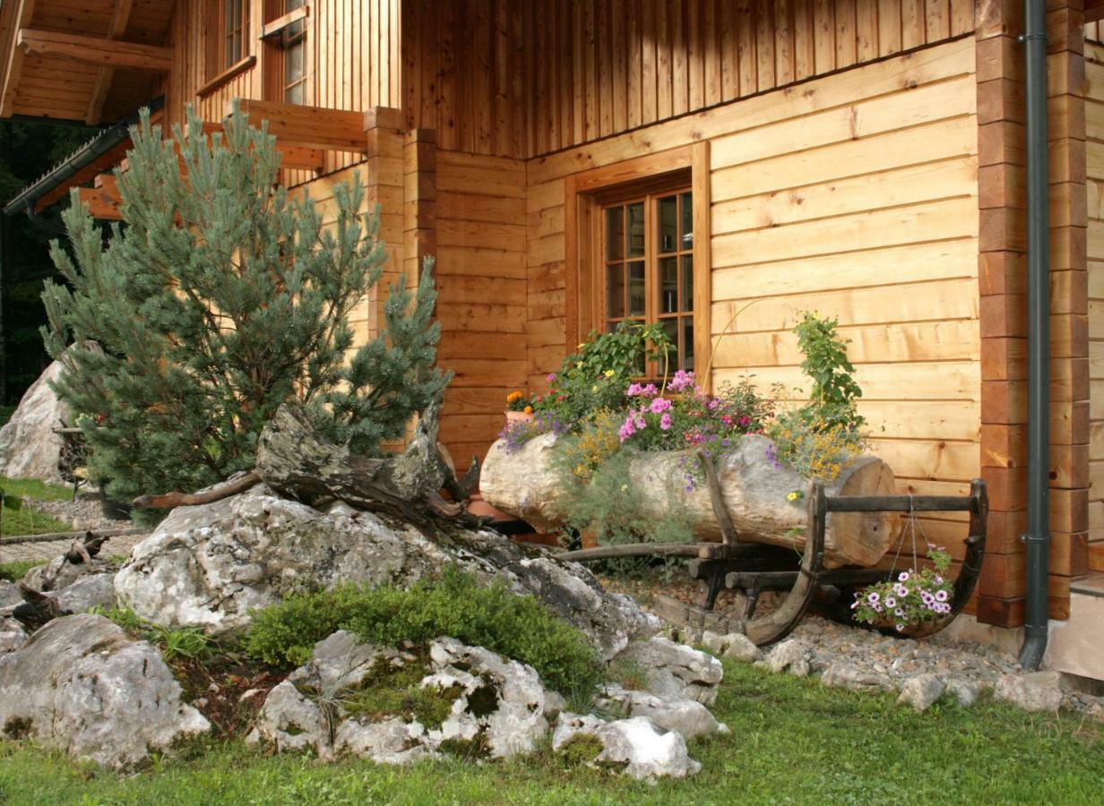 Apartment Pod Skalco Jesenice Exterior foto