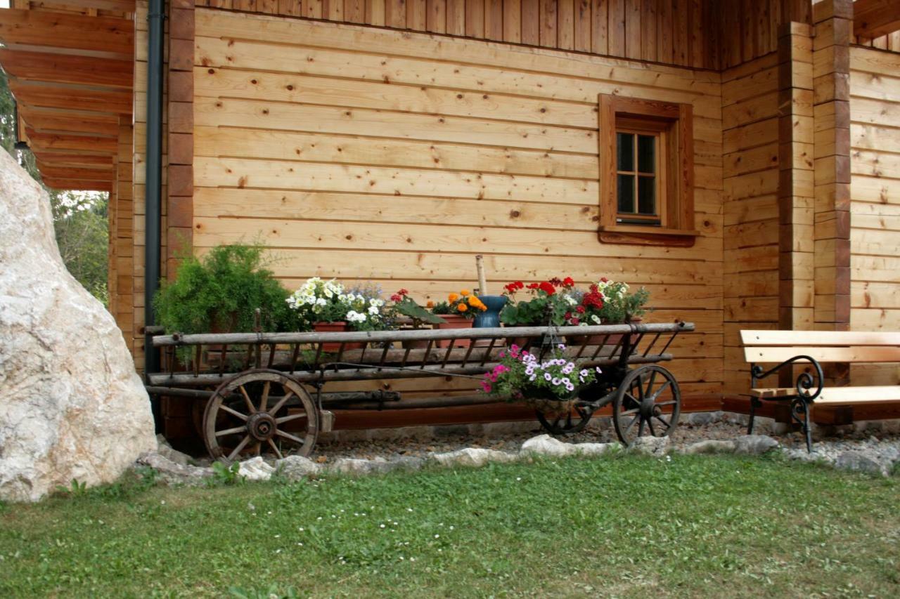 Apartment Pod Skalco Jesenice Exterior foto