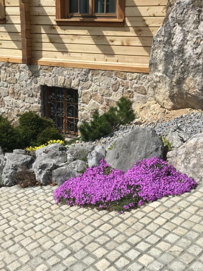 Apartment Pod Skalco Jesenice Exterior foto